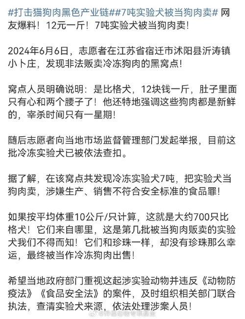 南门农贸市场和另一个农贸市场查获6.2吨狗肉！两加工窝点被取缔, 你怎么看「实验犬多少钱」 减肥知识