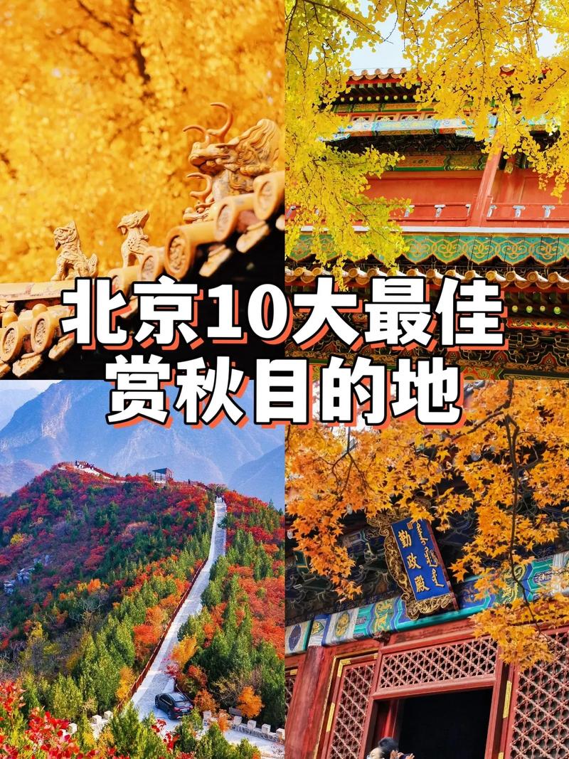 去北京旅游，赏秋地点哪里最佳「北京中轴线 游玩」 减肥知识