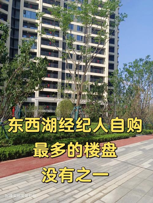 武汉东西湖那边的房子，1万多一平可以买么，会升值么「1.8亿拍卖」 产后