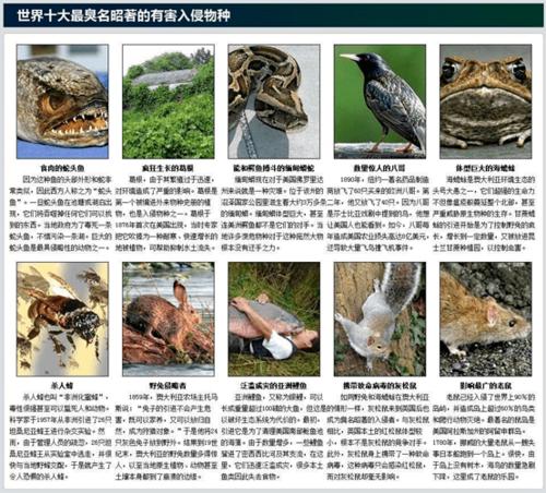 成都青龙湖神秘生物到底是什么「四川外来物种入侵事件」 减肥